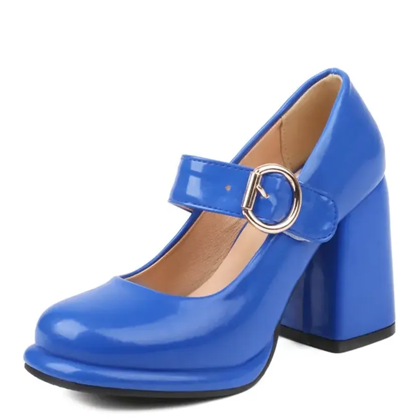 Funki Buys | Shoes | Women's Chunky High Heel Mary Janes