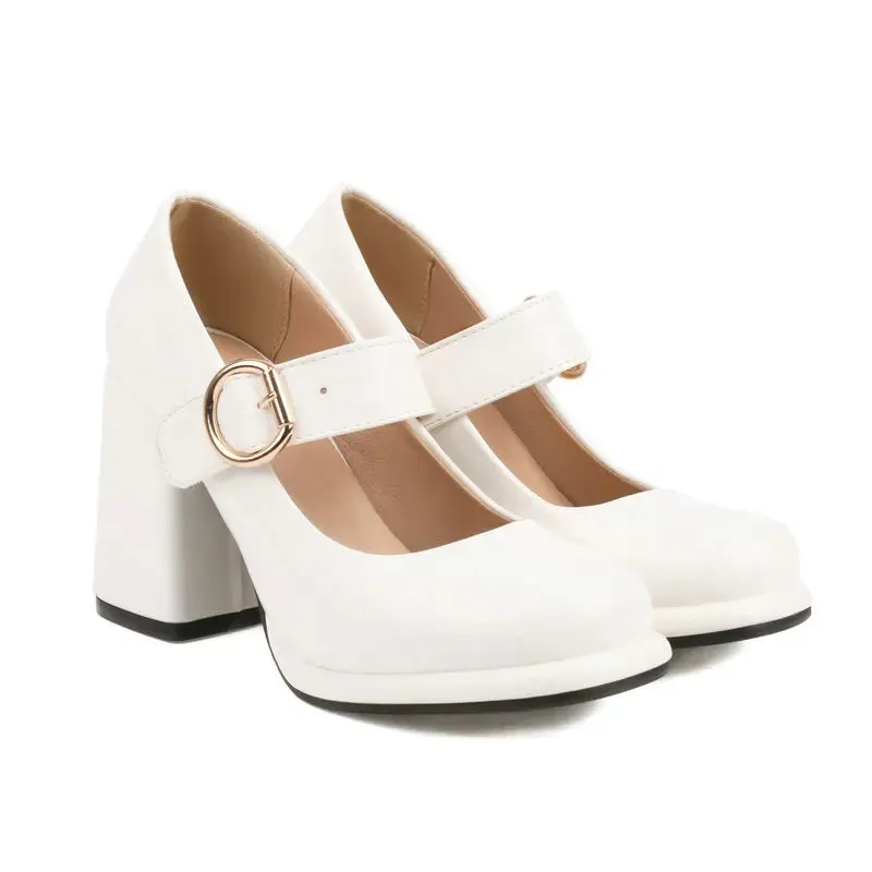 Funki Buys | Shoes | Women's Chunky High Heel Mary Janes