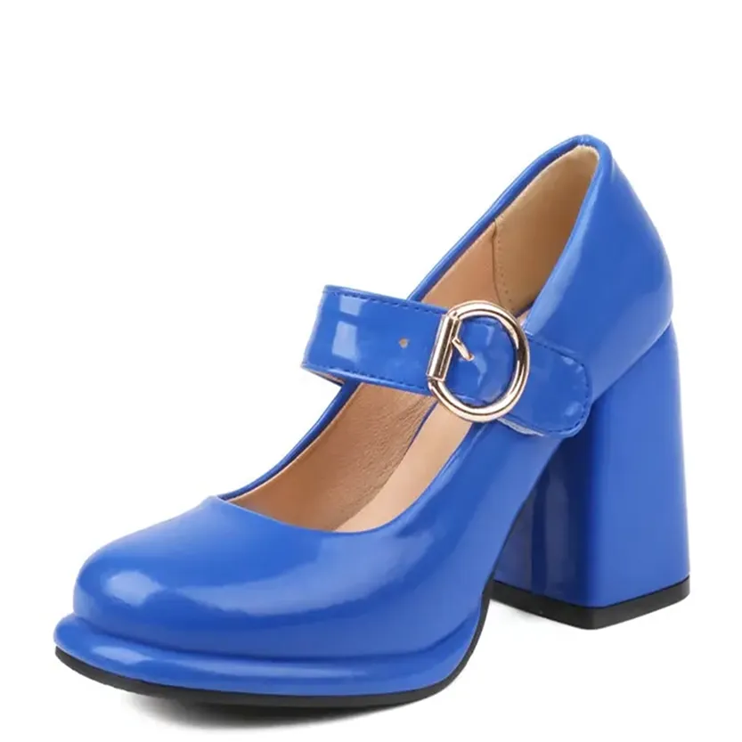 Funki Buys | Shoes | Women's Chunky High Heel Mary Janes