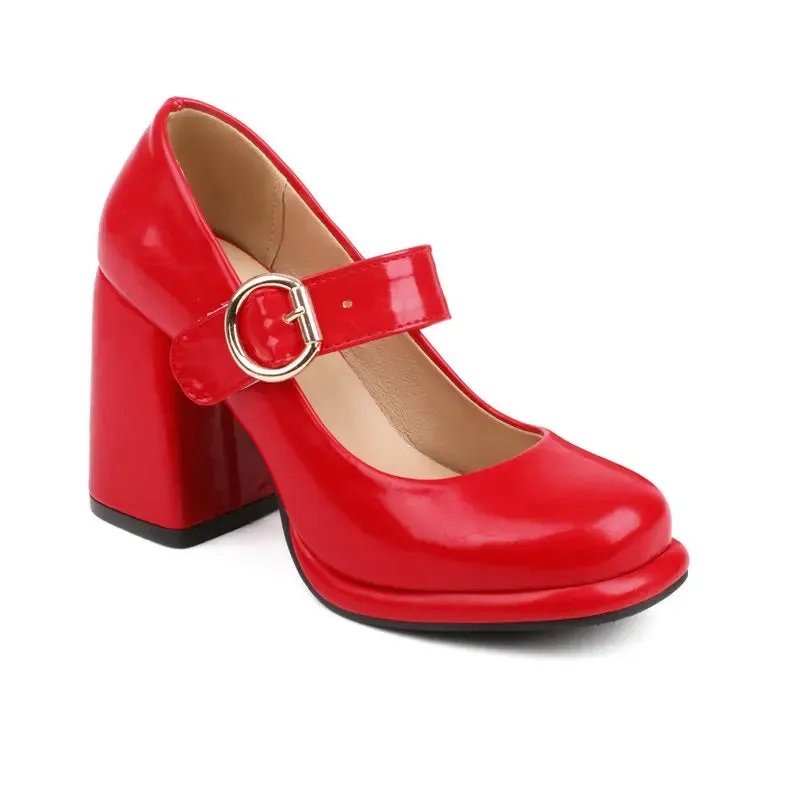 Funki Buys | Shoes | Women's Chunky High Heel Mary Janes